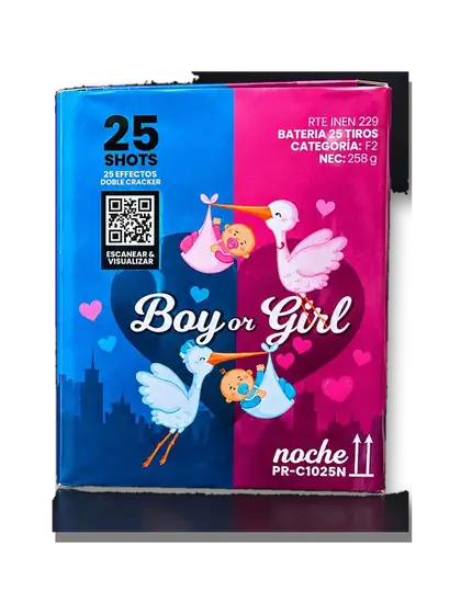 Boy or Girl Noche