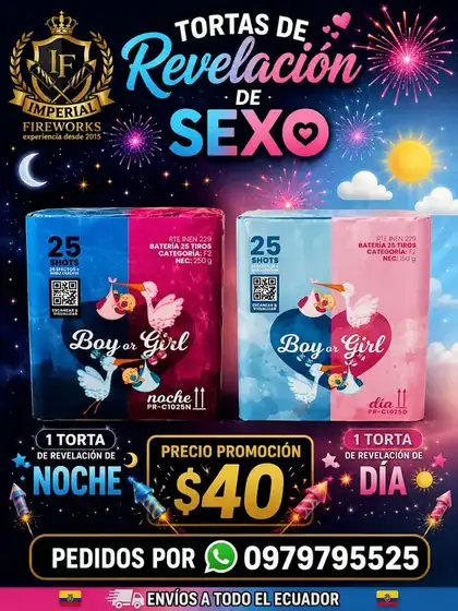 Tortas de revelación de sexo, noche y día